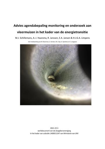 Advies agendabepaling monitoring en onderzoek aan vleermuizen in het kader van de energietransitie
