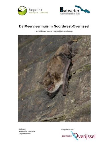 De meervleermuis in Noordwest Overijssel  In het kader van de zesjaarlijkse monitoring. Rapport RA19143-01