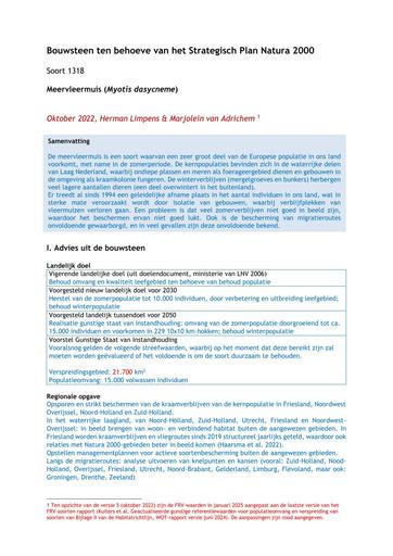 Bouwsteen HS1318 Meervleermuis