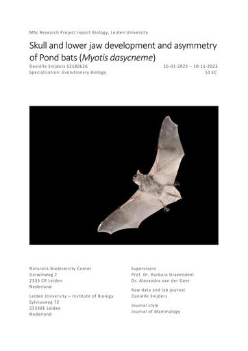 Skull and lower jaw development and asymmetry of Pond bats (Myotis dasycneme)