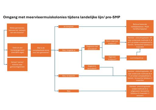 Omgang met meervleermuiskolonies tijdens landelijke lijn/ pre-SMP
