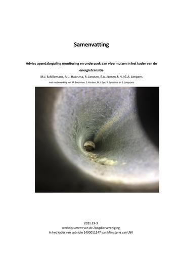 Samenvatting_Advies agendabepaling monitoring en onderzoek aan vleermuizen in het kader van de energietransitie