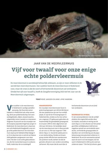 Vijf voor twaalf voor onze enige echte poldervleermuis