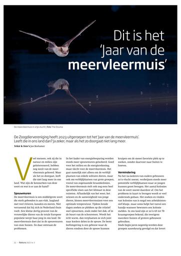 Dit is het jaar van de meervleermuis