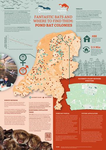 Poster_FANTASTIC BATS AND WHERE TO FIND THEM: POND BAT COLONIES