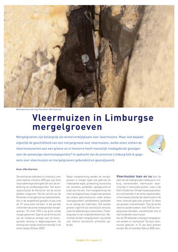 Vleermuizen in limburgse mergelgroeven