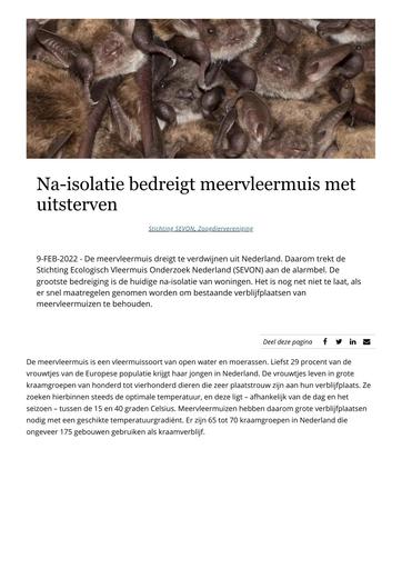 Nature Today Na isolatie bedreigt meervleermuis met uitsterven