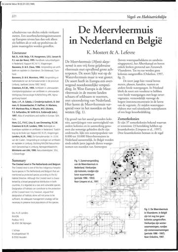De meervleermuis in Nederland en Belgie