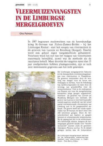 Vleermuizenvangsten in de Limburgse mergelgroeven