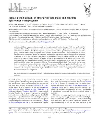 Female pond bats hunt in other areas than males and consume lighter prey when pregnant_Haarsma et al