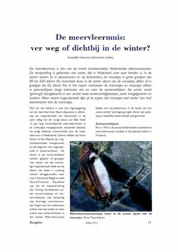 De meervleermuis ver weg of dichterbij in de winter