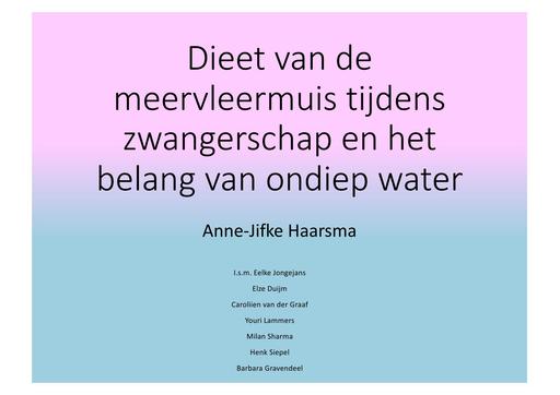 Presentatie_Dieet van de meervleermuis tijdens zwangerschap en het belang van ondiep water