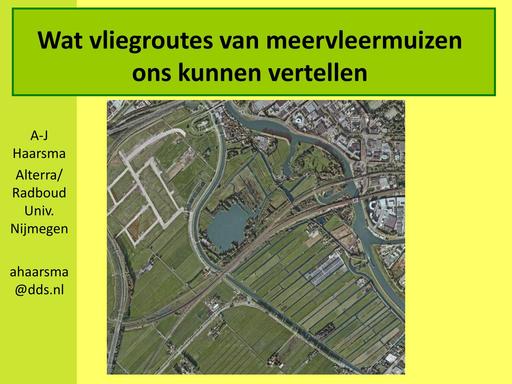 Presentatie_Wat vliegroutes van meervleermuizen ons kunnen vertellen