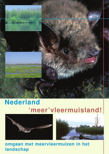 Brochure_Nederland meervleermuisland