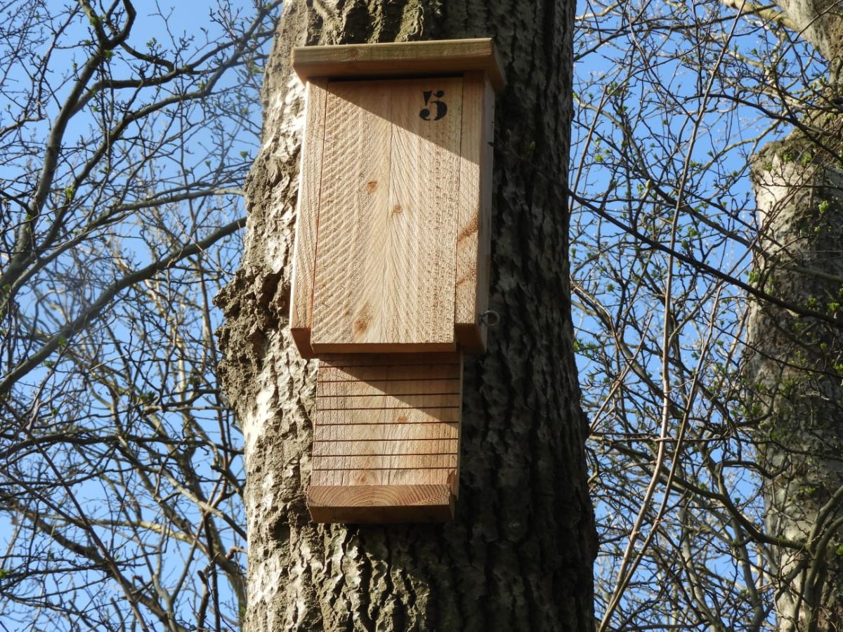 images/Vleermuiskast_.jpg#joomlaImage://local-images/Vleermuiskast_.jpg?width=1296&height=972