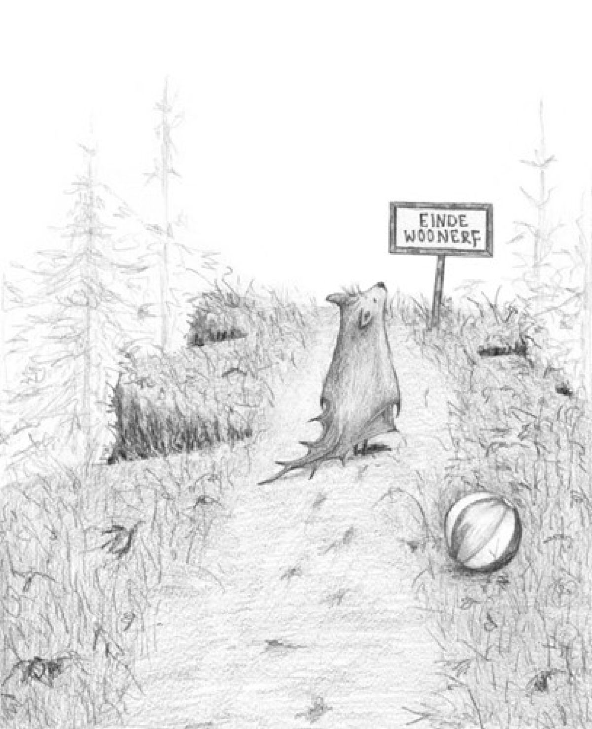 images/einde_woonerf_3.jpg#joomlaImage://local-images/einde_woonerf_3.jpg?width=407&height=501