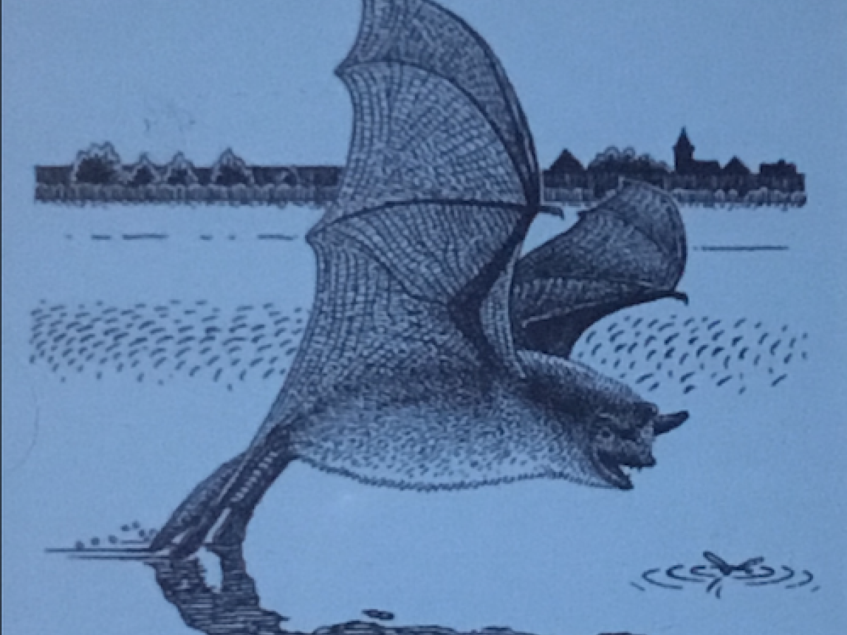 Water trawling. Peter Twisk