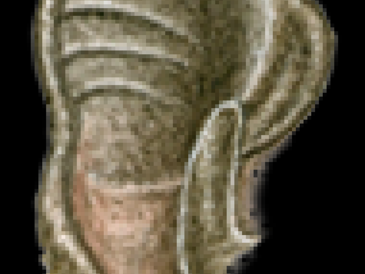 Oor en tragus. Peter Twisk