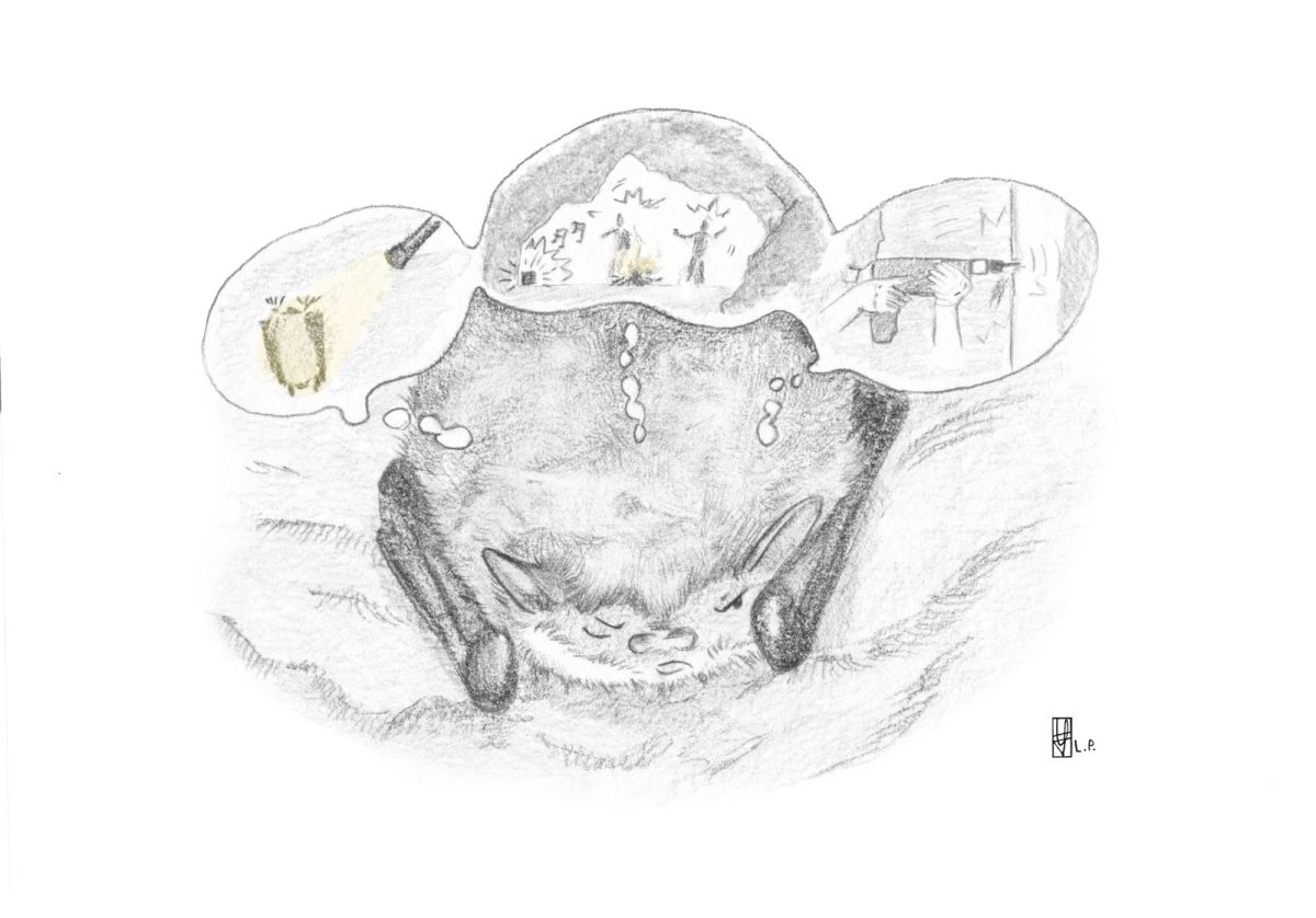 images/IMG-20231204-WA0000.jpg#joomlaImage://local-images/IMG-20231204-WA0000.jpg?width=1600&height=1117