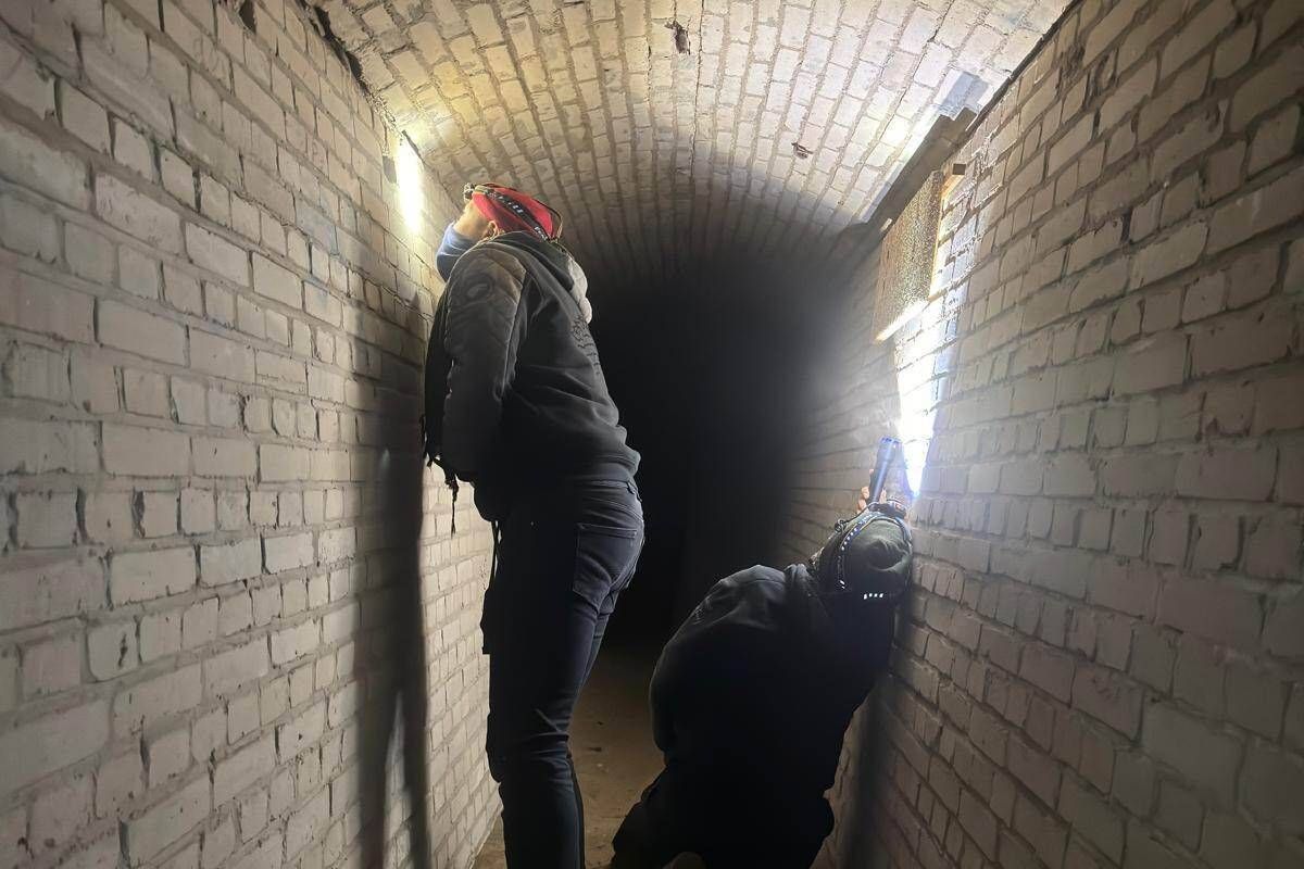 Tellen vleermuizen. Fotograaf: Anne-Jifke Haarsma