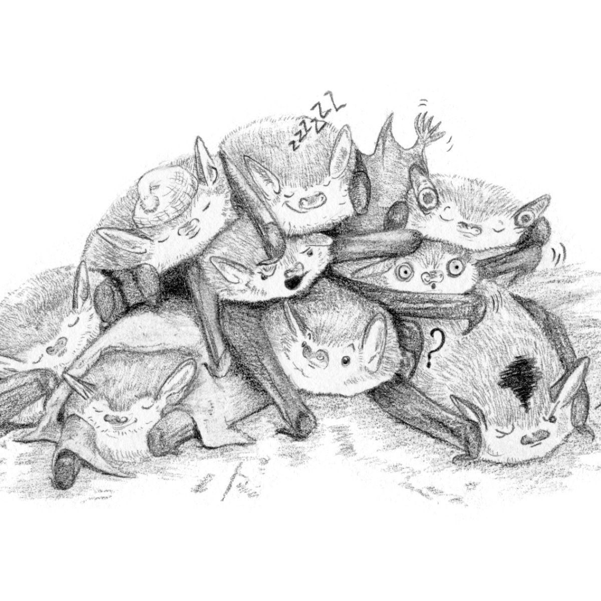 hoopje vleermuizen op elkaar die elkaar in de weg zitten