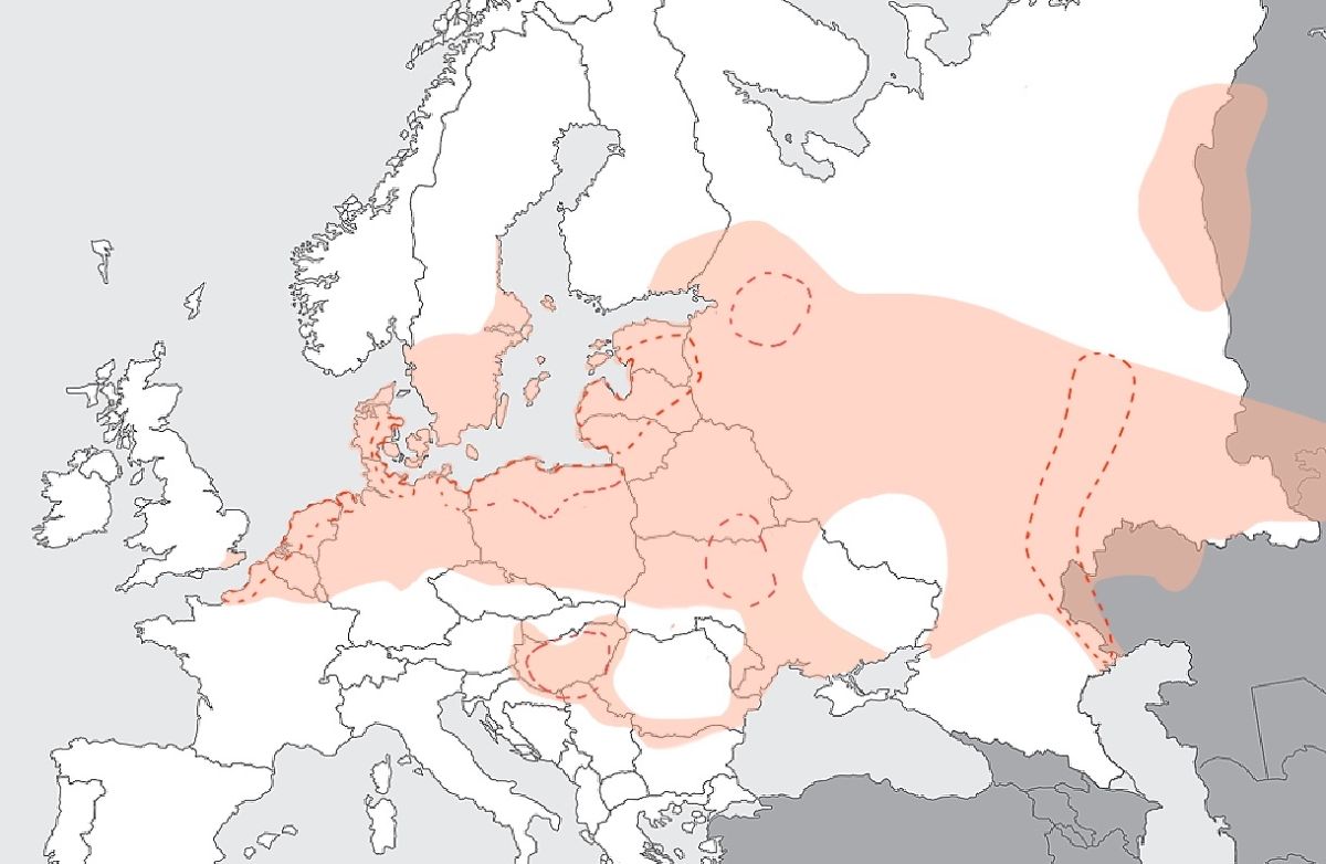 images/weetjes/Fig3.jpg#joomlaImage://local-images/weetjes/Fig3.jpg?width=1219&height=794