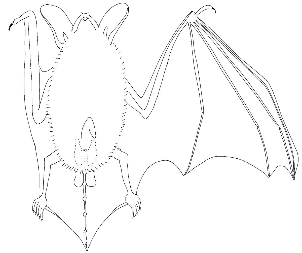 images/IMG-20230820-WA0004.jpg#joomlaImage://local-images/IMG-20230820-WA0004.jpg?width=1535&height=1285