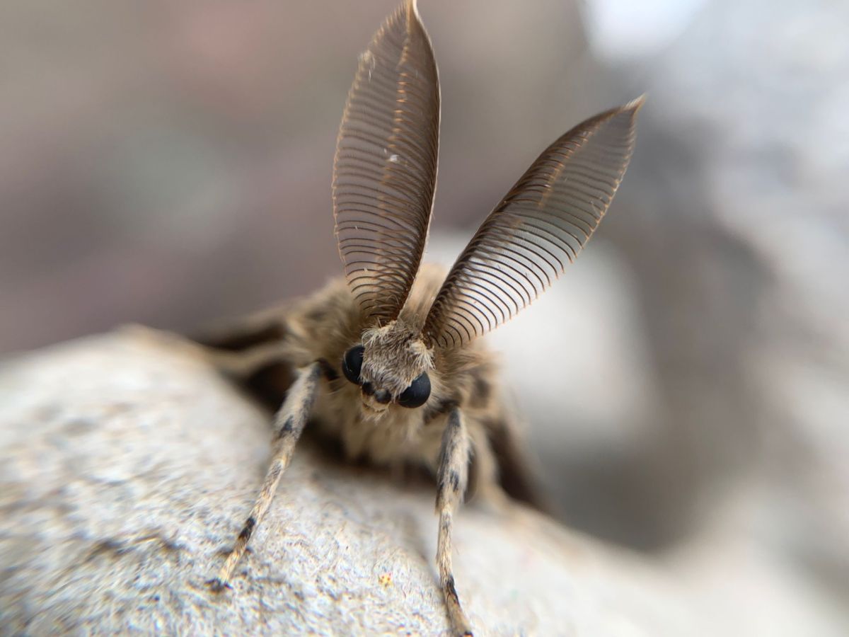 images/IMG-20230809-WA0013.jpg#joomlaImage://local-images/IMG-20230809-WA0013.jpg?width=2048&height=1536