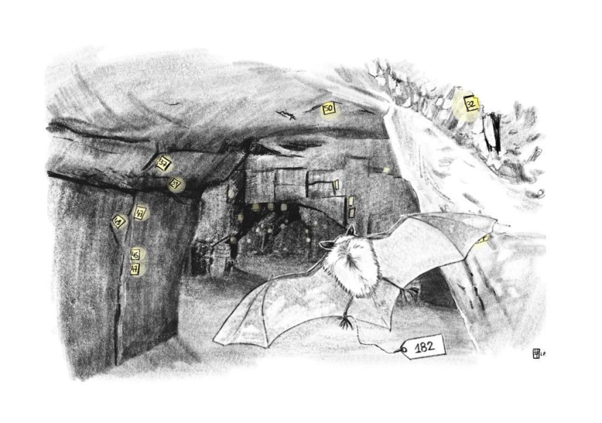 images/IMG-20231220-WA0002.jpg#joomlaImage://local-images/IMG-20231220-WA0002.jpg?width=1024&height=719