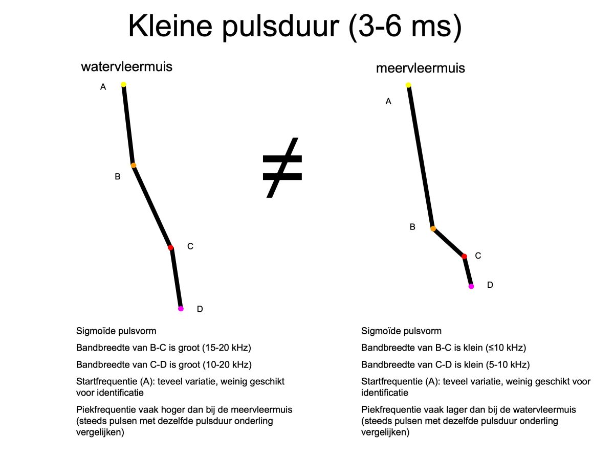 images/pulskrommingen_2.jpg#joomlaImage://local-images/pulskrommingen_2.jpg?width=3000&height=2250