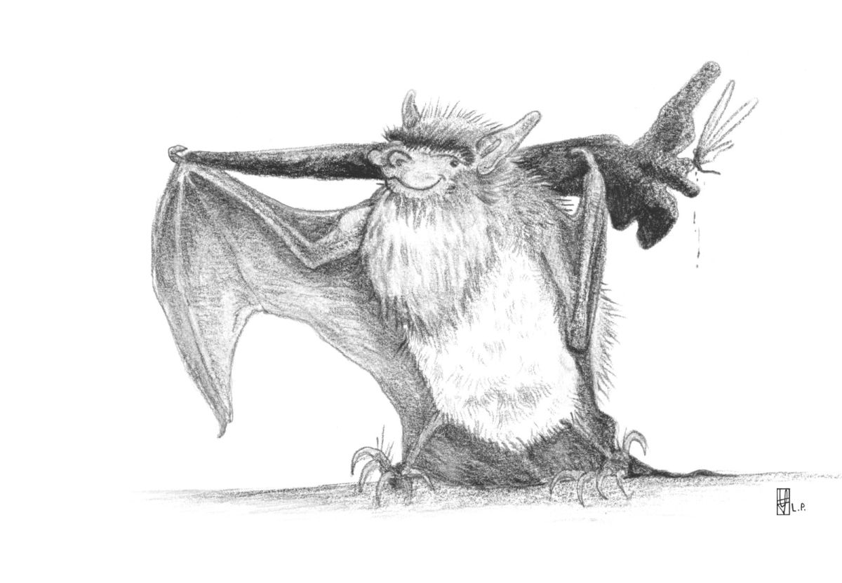 images/IMG-20231114-WA0003.jpg#joomlaImage://local-images/IMG-20231114-WA0003.jpg?width=1600&height=1109