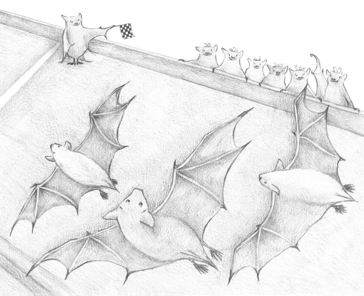 images/vrouwen_imponeren.jpg#joomlaImage://local-images/vrouwen_imponeren.jpg?width=1098&height=892