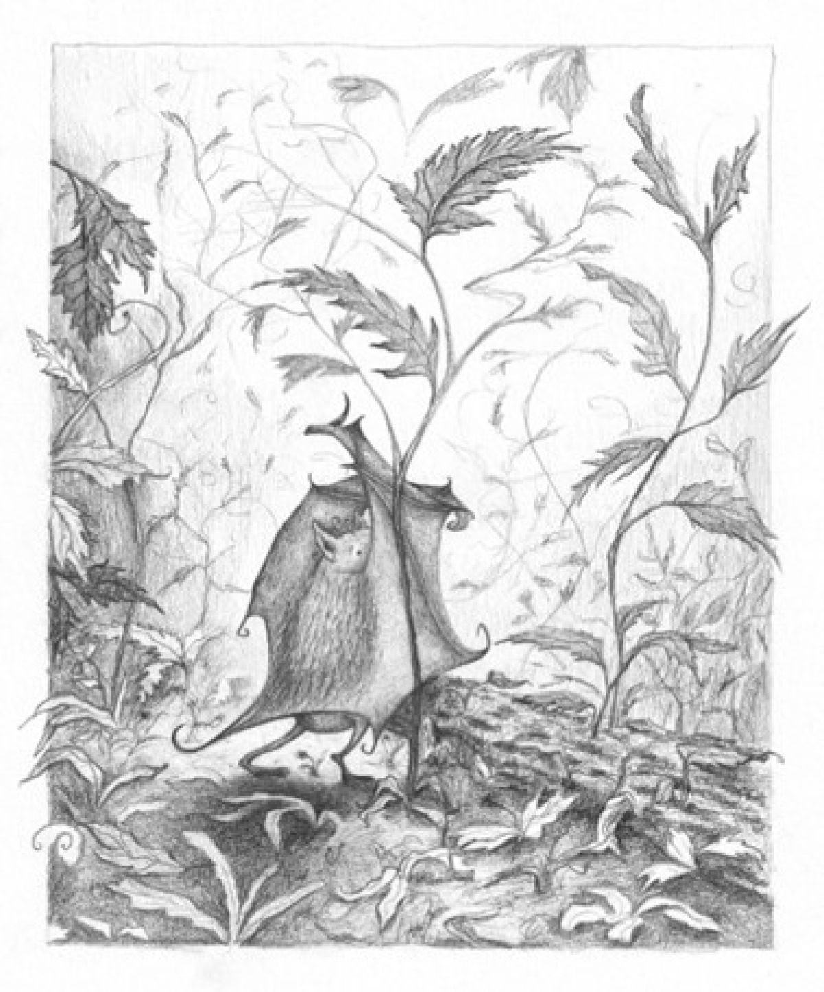 images/Afbeelding_lichtschuw.jpg#joomlaImage://local-images/Afbeelding_lichtschuw.jpg?width=378&height=455